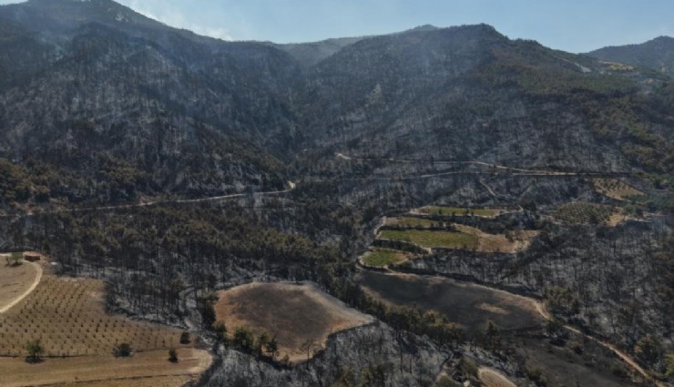 Buldan’daki orman yangını kontrol altına alındı: 