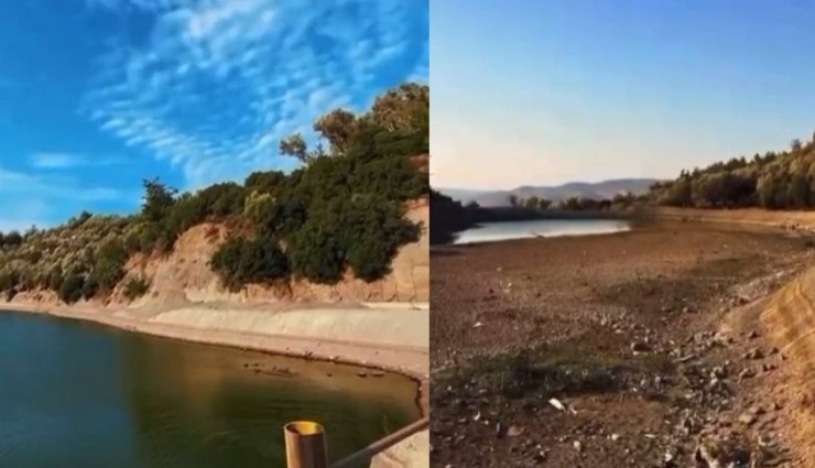 Homeros Vadisi de kurudu