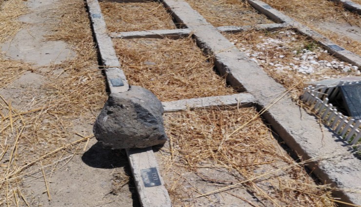 İzmir’de hayvan mezarlığı sorunu: Temizlik ve bakım talebi yükseliyor