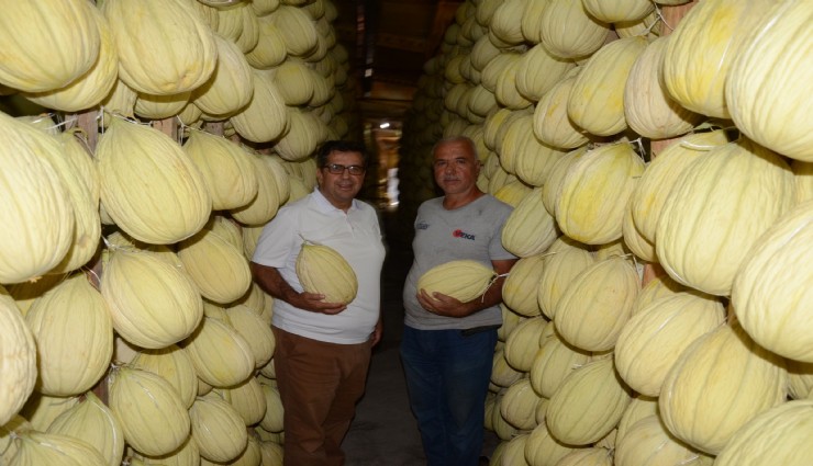 Manisa’nın tescilli lezzeti: Kırkağaç kavunu artık Avrupa’da da koruma altında