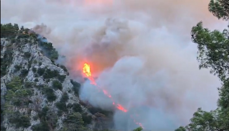 Muğla’daki yangınlara havadan müdahale başladı