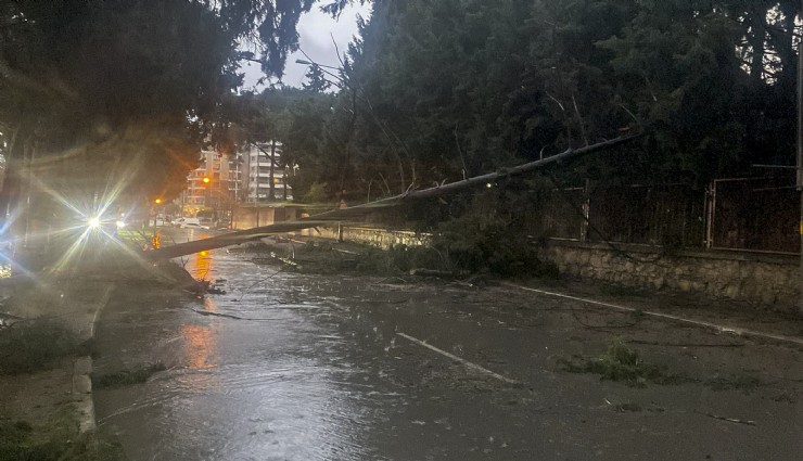 Buca’da fırtına mesaisi: Belediye ekipleri gece gündüz sahada