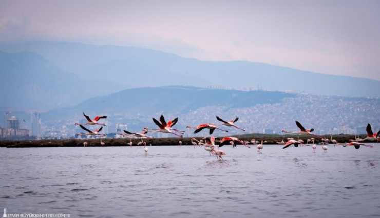 Doğa, kültür ve lezzet tutkunları yarıyıl tatilinde bu turlarda buluşacak