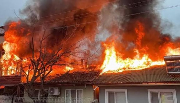 Kediler üşümesin diye yaktıkları ateş evi kül ett