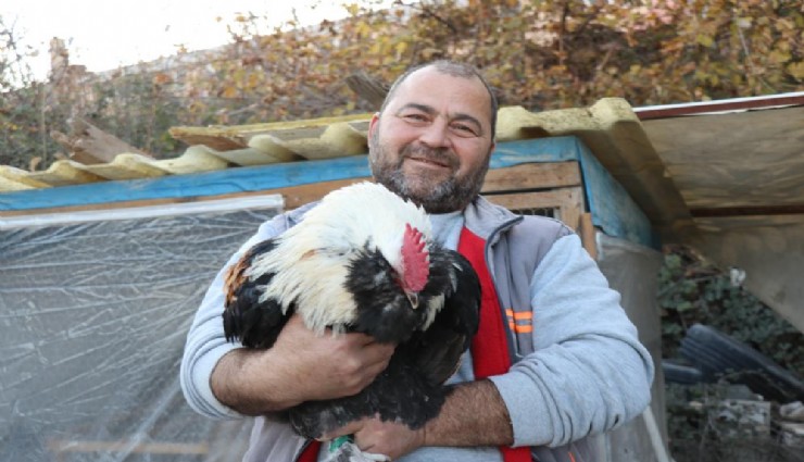 Mermer fabrikasında farklı bir üretim: Egzotik tavuk yetiştiriciliği