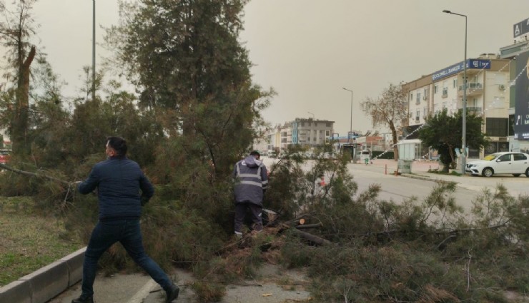 Şiddetli rüzgar Antalya’yı vurdu: Elektrik telleri koptu, hayat durma noktasına geldi