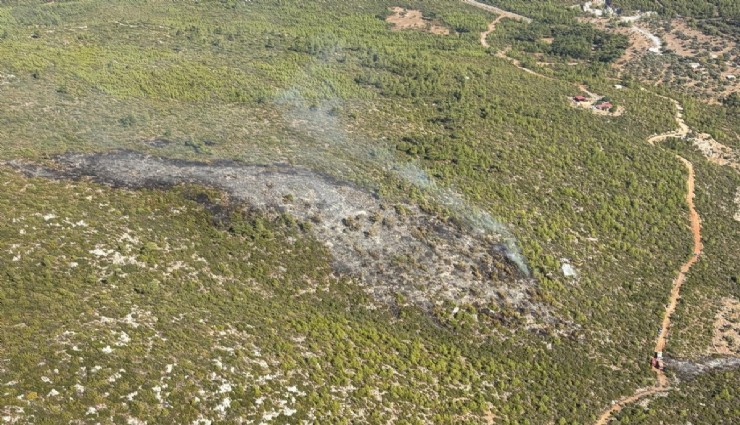 Bodrum'daki orman yangını kontrol altında