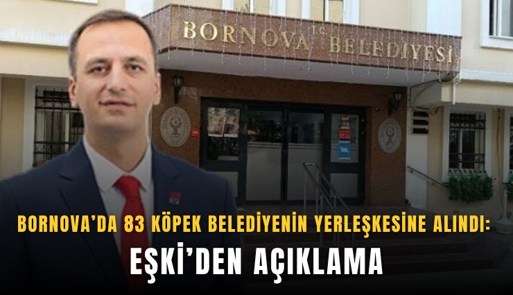 Bornova’da 83 köpek belediyenin yerleşkesine alındı: Eşki’den açıklama