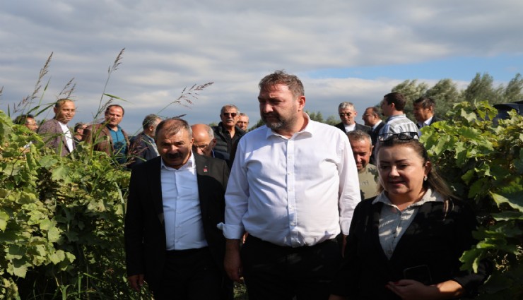 CHP'den üzüm üreticisi için 150 lira çağrısı