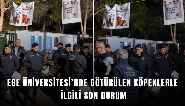 Ege Üniversitesi’nde toplatılan köpeklerle ilgili son durum