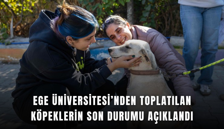 Ege Üniversitesi’nden toplatılan köpeklerin son durumu açıklandı