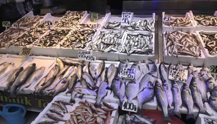 İzmir’de balık fiyatları belli oldu: Hamsi 100, lüfer 2 bin TL’ye kadar çıktı
