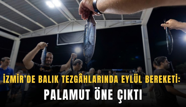 İzmir’de balık tezghlarında eylül bereketi: Palamut öne çıktı