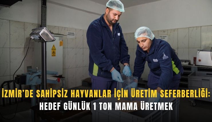 İzmir’de sahipsiz hayvanlar için üretim seferberliği: Hedef günlük 1 ton mama üretmek
