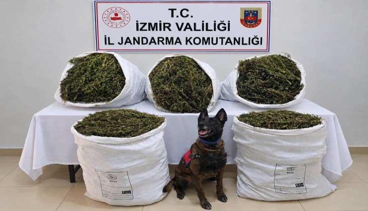 Tire’de uyuşturucu operasyonu: 54 kilo 800 gram esrar ele geçirildi, 3 kişi tutuklandı