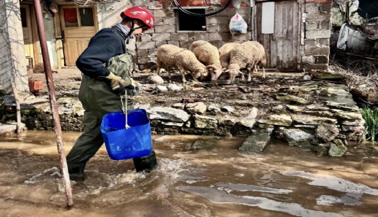 Büyükşehir ekipleri tüm canlılar için aynı özveriyle çalışıyor