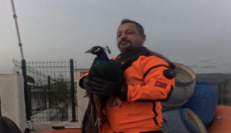 İzmir İtfaiyesi sessiz canlar için zamanla yarıştı