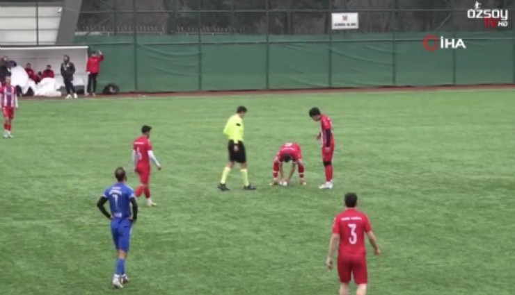 Maç esnasında top çarpan martı, kalp masajıyla hayata döndü