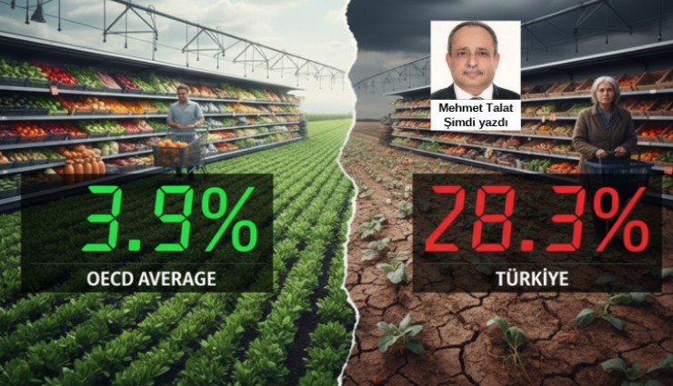 Mutfaktaki yangın: Küresel istikrar, yerel yalnızlık