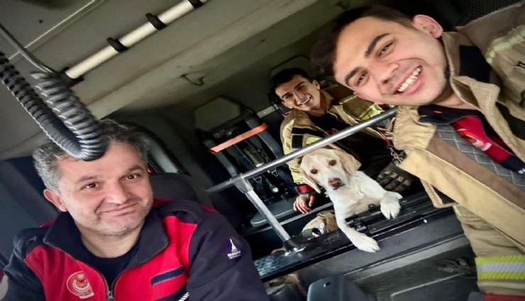 Umuda uzanan eller: Mahsur kalan köpeği itfaiye kurtardı
