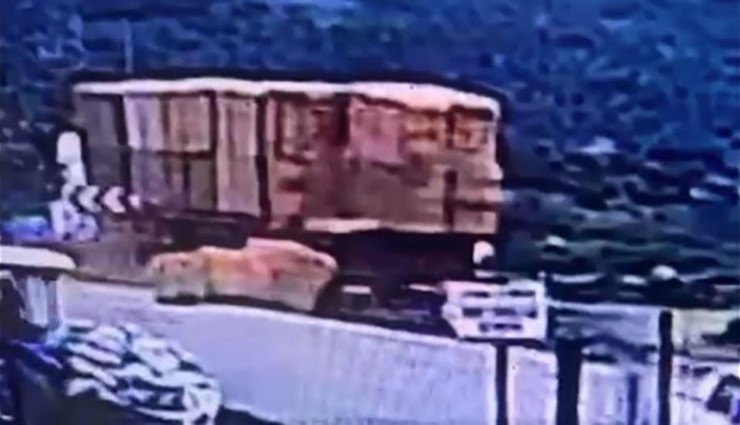 Yolda yürürken üzerine tırdan saman balyası düşen kişi hayatını kaybetti