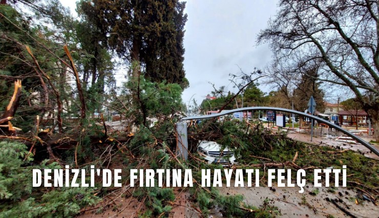 Denizli'de fırtına hayatı felç etti