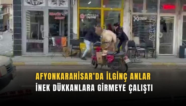 Afyonkarahisar'da ilginç anlar: İnek dükkanlara girmeye çalıştı