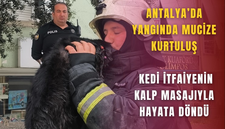 Antalya’da yangında mucize kurtuluş: Kedi itfaiyenin kalp masajıyla hayata döndü