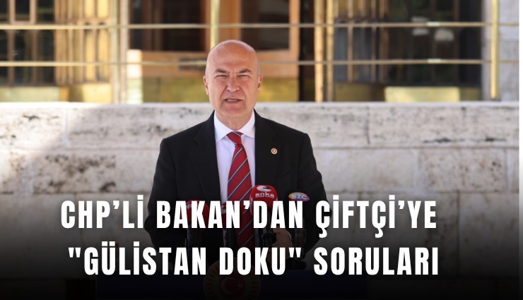 CHP’li Bakan’dan Çiftçi’ye 'Gülistan Doku' soruları