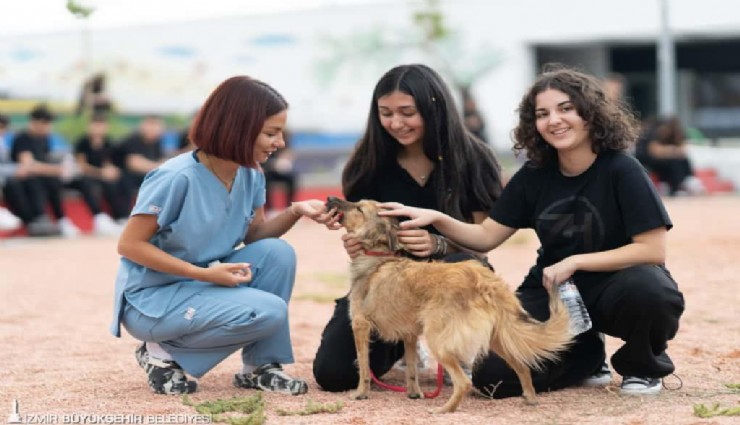 İzmir'den satın alma, sahiplen çağrısı: 2 bin 300 patili dost yuva bekliyor