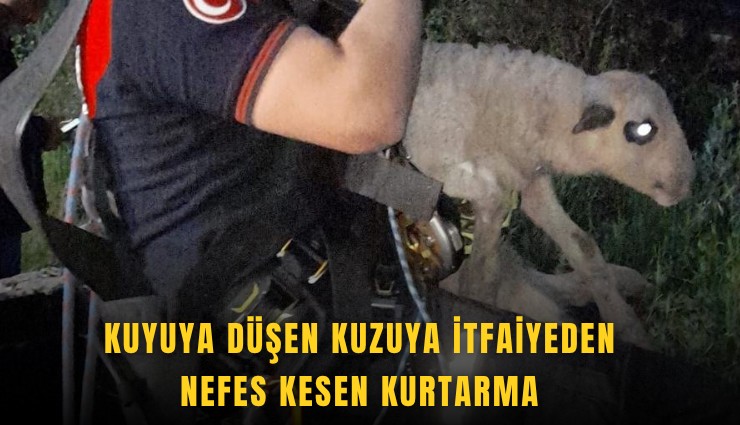 Kuyuya düşen kuzuya itfaiyeden nefes kesen kurtarma