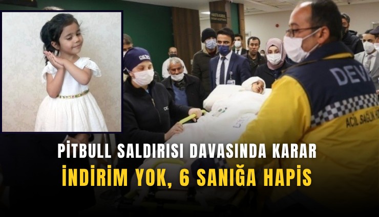 Pitbull saldırısı davasında karar: İndirim yok, 6 sanığa hapis