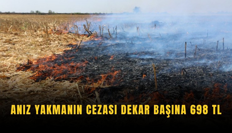 Anız yakmanın cezası dekar başına 698 TL