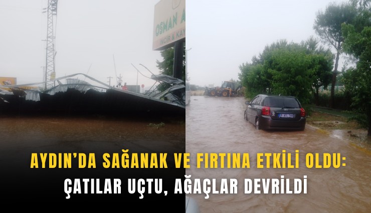Aydın’da sağanak ve fırtına etkili oldu: Çatılar uçtu, ağaçlar devrildi