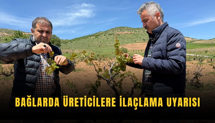 Bağlarda üreticilere ilaçlama uyarısı