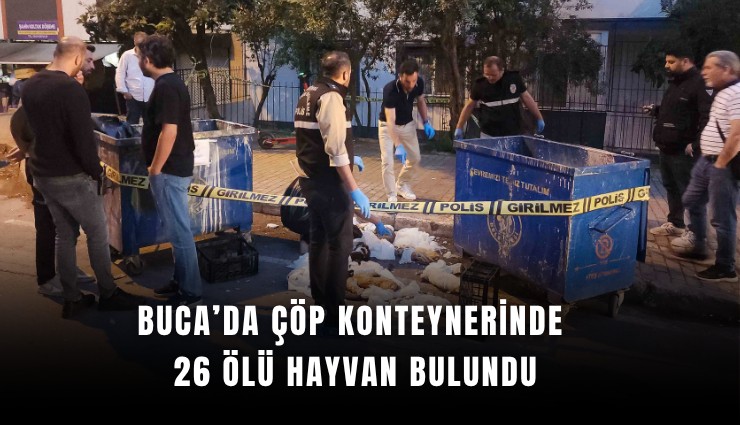 Buca’da çöp konteynerinde 26 ölü hayvan bulundu