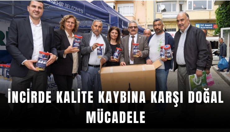 İncirde kalite kaybına karşı doğal mücadele