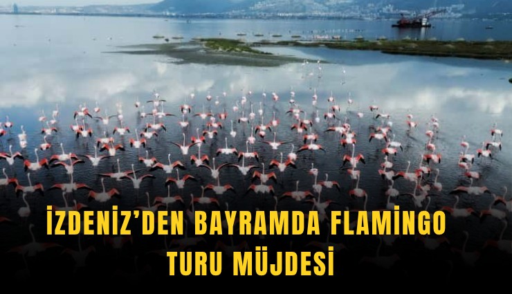 İZDENİZ’den bayramda flamingo turu müjdesi