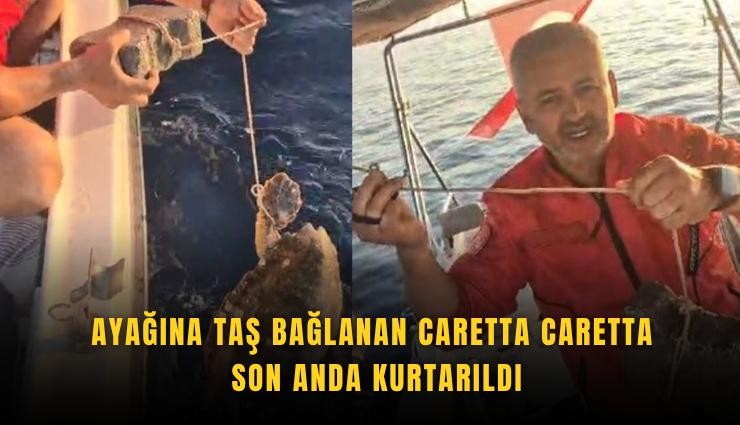 Ayağına taş bağlanan caretta caretta son anda kurtarıldı