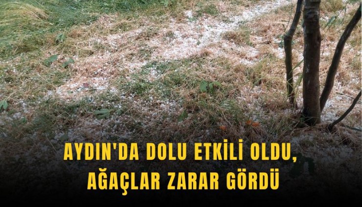 Aydın'da dolu etkili oldu, ağaçlar zarar gördü
