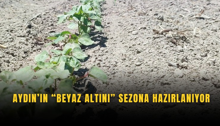 Aydın’ın Beyaz altını sezona hazırlanıyor