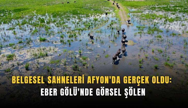 Belgesel sahneleri Afyon'da gerçek oldu: Eber Gölü'nde görsel şölen