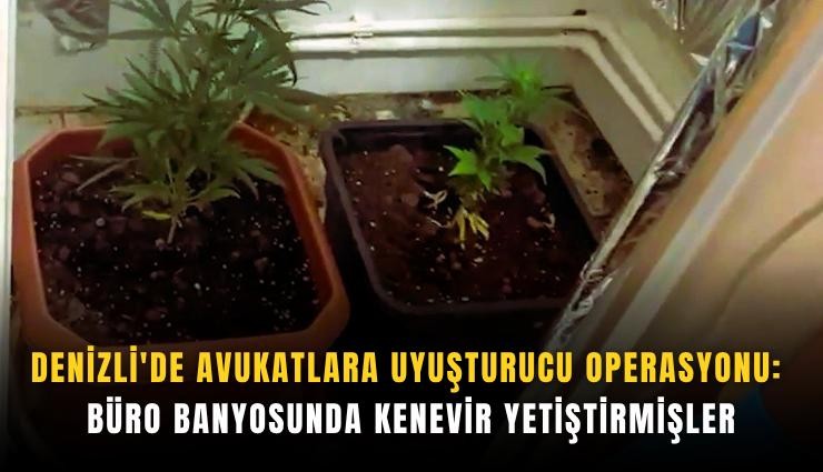 Denizli'de avukatlara uyuşturucu operasyonu: Büro banyosunda kenevir yetiştirmişler