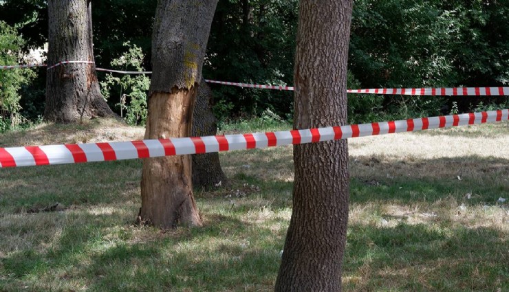 İstanbul Valiliği'nden ormanlara giriş kısıtlaması kararı
