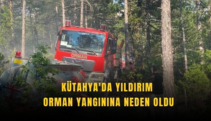 Kütahya'da yıldırım orman yangınına neden oldu