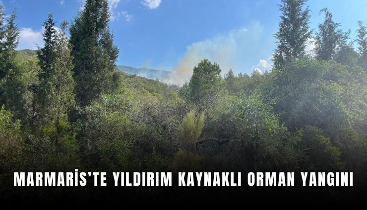 Marmaris’te yıldırım kaynaklı orman yangını
