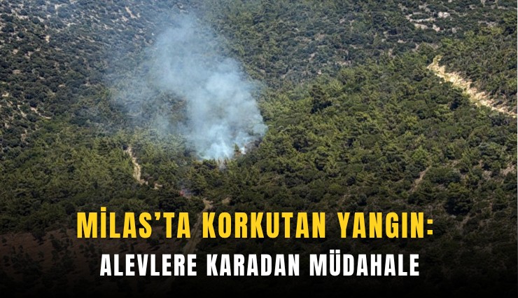Milas’ta korkutan yangın: Alevlere karadan müdahale