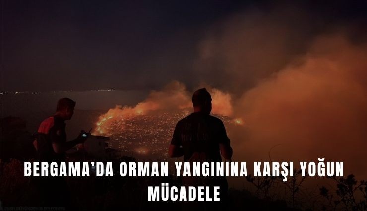 Bergama'da orman yangını alarmı