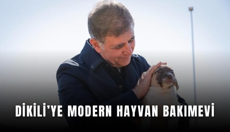 Dikili'ye modern hayvan bakımevi