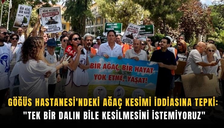 Göğüs Hastanesi'ndeki ağaç kesimi iddiasına tepki: 'Tek bir dalın bile kesilmesini istemiyoruz'
